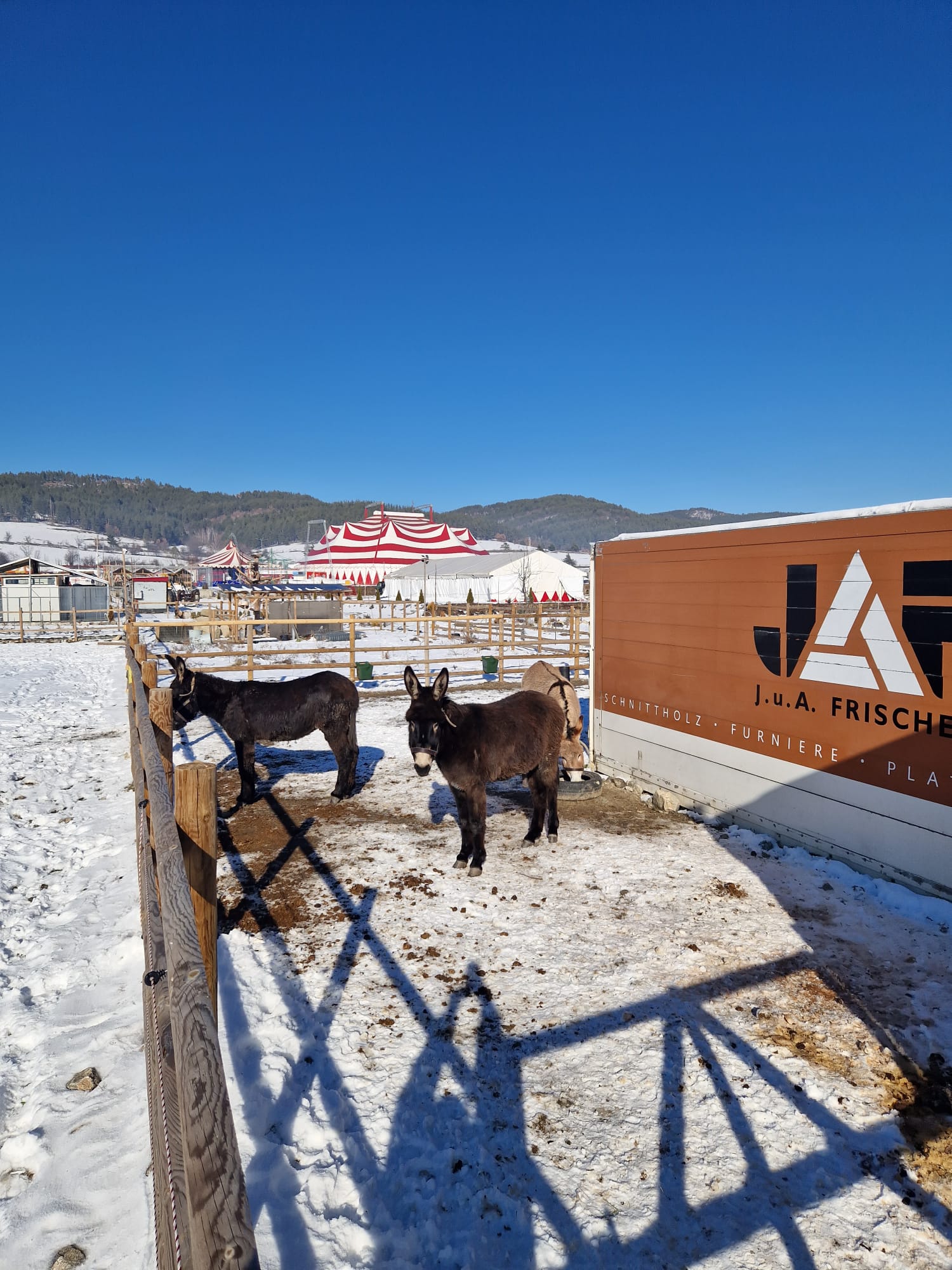 WhatsApp Image 2024-01-23 at 14.45.24